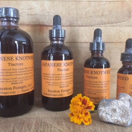 Japanese Knotweed Tincture - Vermont Wild-Harvested, Fresh-Processed, Extra Strength (Use code FEB2025 for 20% off!)