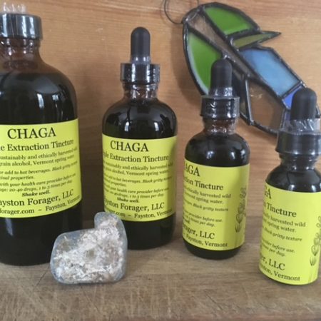 Triple-Extraction Chaga Tincture - Sustainably Wild-Harvested