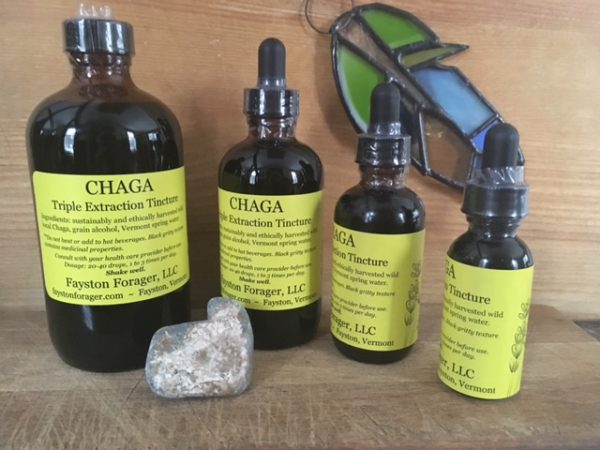 Triple-Extraction Chaga Tincture - Sustainably Wild-Harvested (Use code FEB2025 for 20% off!)
