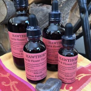 Vermont Wild-Harvested Hawthorn Leaf and Flower Tincture w/Organic Cane Alcohol