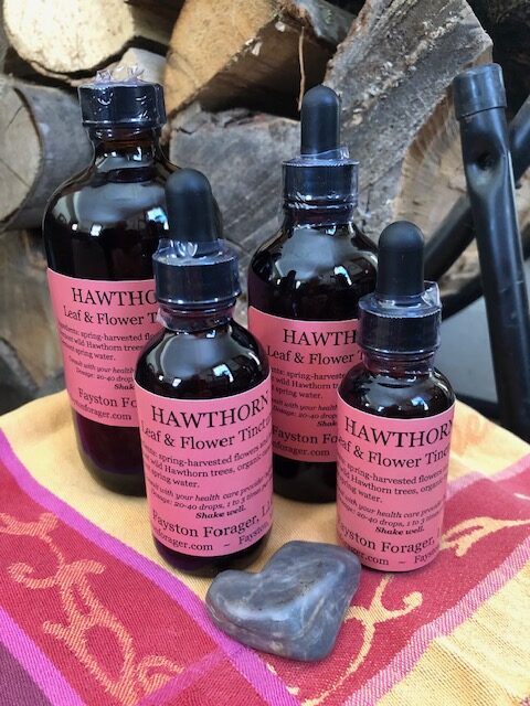 Vermont Wild-Harvested Hawthorn Leaf and Flower Tincture w/Organic Cane Alcohol