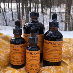 Japanese Knotweed Tincture Vermont Wild-Harvested, Fresh-Processed, Extra Strength w/Organic Cane Alcohol