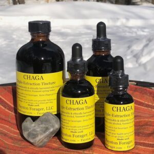Triple-Extraction Chaga Tincture - Sustainably Wild-Harvested w/Organic Cane Alcohol