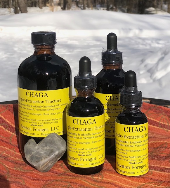 Chaga, Chaga, Chaga……